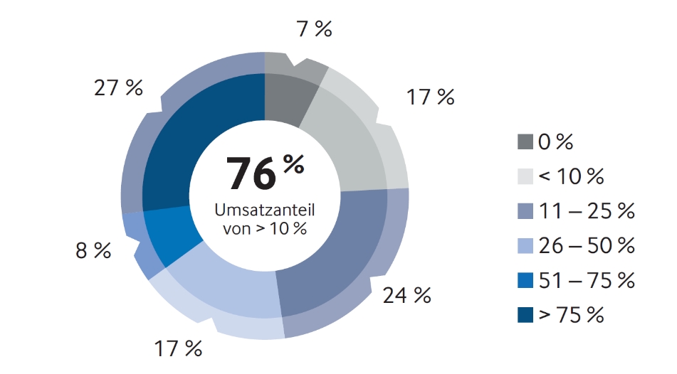 Umsatzanteil Service